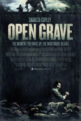 Открытая могила	 (2013)