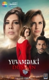 Враг в моём доме (2018)