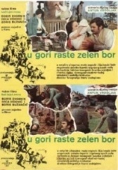 На горе растет зеленая сосна (1971)