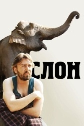 Слон (2022)