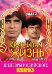 Красивая жизнь (2011)