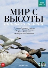 Мир с высоты птичьего полета (2011)