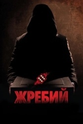 Жребий (2017)