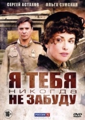 Я тебя никогда не забуду (2013)