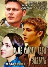 Я не смогу тебя забыть (2013)