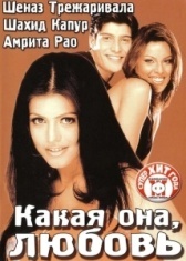 Какая она, любовь (2003)