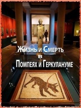 Жизнь и смерть в Помпеях и Геркулануме (2013)