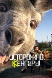 Осторожно, кенгуру! (2022)