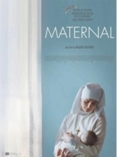 Материнский инстинкт (2008)