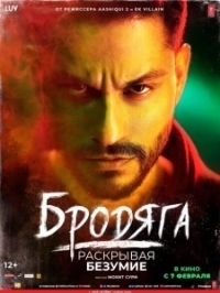 Бродяга: Раскрывая безумие (2020)