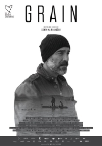 Зерно (2017)