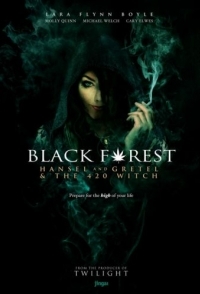 
Темный лес: Ганс, Грета и 420-я ведьма (2013) 