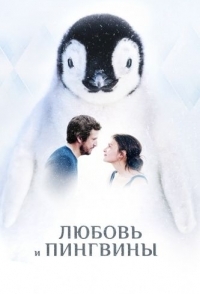 
Любовь и пингвины (2016) 