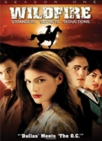 Дикий огонь (2005)