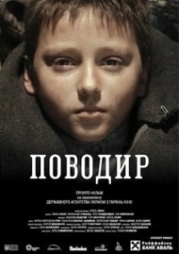 Поводырь (2013)