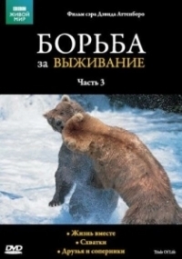 BBC: Борьба за выживание (1990)