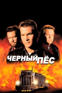 Черный пес (2018)