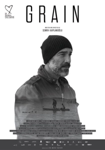Зерно (2017)